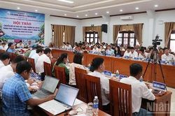 Đà Nẵng: Chuyển đổi số thúc đẩy tăng trưởng hai con số trong phát triển kinh tế vườn, kinh tế trang trại