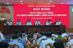 Cà Mau dồn lực chặng nước rút, quyết đạt mục tiêu tăng trưởng 2 con số
