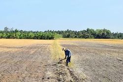 Ba tháng cuối năm, nhiệt độ cả nước cao hơn trung bình nhiều năm