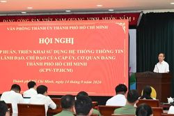 TPHCM thử nghiệm hệ thống thông tin lãnh đạo, chỉ đạo từ thành phố đến cấp xã