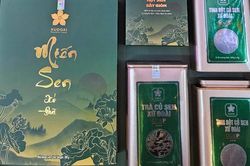 Đánh thức vùng sen Xứ Đoài từ mô hình nông nghiệp đa giá trị