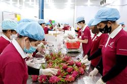Tây Ninh thu ngân sách gần 52.000 tỉ đồng sau 9 tháng