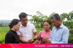 Lan tỏa tinh thần học tập suốt đời trong thời đại số