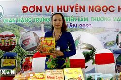 Cà Mau tổ chức Cuộc thi 'Người đẹp Đất Mũi qua ảnh' lần thứ 1, năm 2026