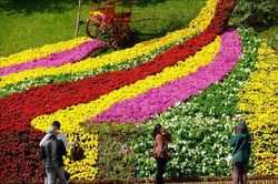 L&acirc;m Đồng: Y&ecirc;u cầu tăng cường c&aacute;c hoạt động hưởng ứng Festival Hoa Đ&agrave; Lạt