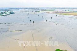 Lũ trên sông Đồng Nai vượt báo động 1, nguy cơ lũ quét, sạt lở tại Lâm Đồng