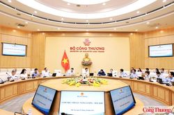 Bộ trưởng Lê Mạnh Hùng làm việc với Cục Năng lượng - Dầu khí