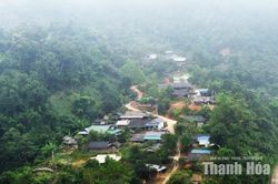 Chờ an cư trên dốc Pù Đứa
