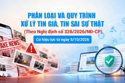 Phân loại và quy trình xử lý tin giả, tin sai sự thật