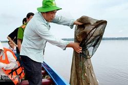 An Cư phát hiện, xử lý 16 trường hợp vi phạm lĩnh vực đánh bắt thủy sản
