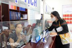 Phê duyệt phương án đơn giản hóa 134 thủ tục hành chính nội bộ