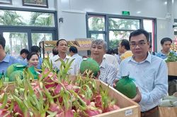 Gia Lai đẩy nhanh cấp mã số vùng trồng, cơ sở đóng gói