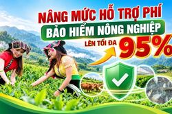 Nâng hỗ trợ phí bảo hiểm nông nghiệp lên tối đa 95%