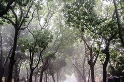 Dự báo gió mùa Đông Bắc từ chiều tối 04/10/2026: Bắc Bộ chuyển lạnh, mưa to diện rộng