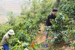 Đổi mới phương thức lãnh đạo - tạo sức bật vùng cao