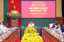 Ban Thường vụ Tỉnh ủy cho ý kiến một số nội dung theo thẩm quyền