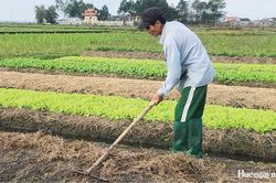 Phong Phú mở hướng phát triển, tạo cực tăng trưởng mới