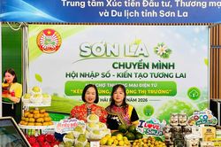 Khuyến công Sơn La: Sát cơ sở, đúng nhu cầu
