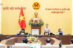 Ủy ban Thường vụ Quốc hội cho ý kiến về dự án Luật Nhà ở (sửa đổi) và dự án Luật Kinh doanh bất động sản (sửa đổi)