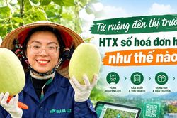 Từ ruộng đến thị trường: HTX số hoá đơn hàng như thế nào?