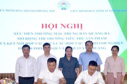 Tuyên Quang tăng kết nối thị trường, mở rộng đầu ra cho nông sản và sản phẩm OCOP