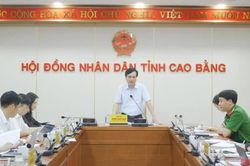 Ban Pháp chế HĐND tỉnh thẩm tra dự thảo nghị quyết về tổ bảo vệ an ninh, trật tự trình Kỳ họp thứ 7 (chuyên đề)