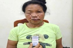 Bắt giữ Quàng Thị Phủ 62 tuổi