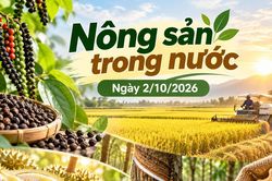 Nông sản trong nước 2/10: Hồ tiêu neo 140.500 đồng/kg, sầu riêng Thái tới 95.000 đồng/kg