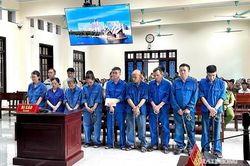 17 bị cáo lĩnh án vụ 200 tấn thịt lợn nhiễm dịch ở Công ty Đồ hộp Hạ Long