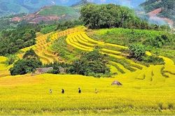 Dự kiến ngày 24/10 khai mạc Hội Mùa vàng Lục Hồn 2026