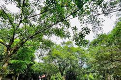 Điều chỉnh diện tích đất tại Khu du lịch văn hóa Sóc Sơn