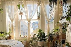 Cách trang trí cửa sổ bằng cây xanh độc đáo, giúp không gian sống trở nên tươi mới