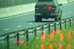 Phát hiện tài xế không có bằng lái vẫn chạy 100 km/giờ trên cao tốc
