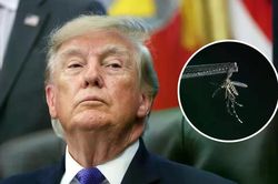 Tổng thống Trump 'tuyên chiến' với muỗi