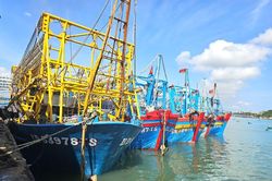 Gia Lai gỡ 'thẻ vàng' EC: Siết quản lý, ngư dân chủ động vươn khơi chống IUU