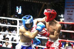 378 VĐV thuộc 20 tỉnh, thành tham dự giải Kickboxing quốc gia 2026 ở Cần Thơ