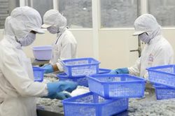 Giữ thị phần nông sản Việt Nam tại ASEAN