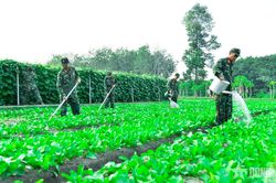 Sư đoàn 9 (Quân đoàn 34): Sắc xanh từ ý thức người chiến sĩ
