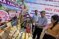 Đà Nẵng số hóa kinh tế vườn, trang trại để tạo động lực tăng trưởng mới