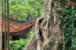 Lam Kinh – nơi ranh giới giữa lịch sử và huyền thoại trở nên mong manh
