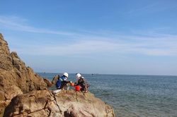 Lập đoàn kiểm tra, tìm nguyên nhân cá chết bất thường ven biển Quảng Trị