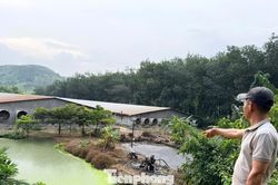 Lắp hệ thống bơm, xả chất thải không qua xử lý, trại heo bị phạt 70 triệu đồng