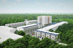 Ngân hàng rao bán hai khoản nợ trăm tỷ, tài sản đảm bảo là 729ha rừng