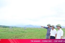 Kỳ Khang tạo đồng thuận trong quy tập mộ, mở đường tích tụ ruộng đất
