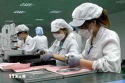Gần 224.000 doanh nghiệp gia nhập và quay lại thị trường trong 9 tháng