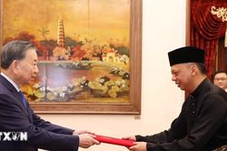 Tổng Bí thư, Chủ tịch nước Tô Lâm tiếp các Đại sứ Đặc mệnh toàn quyền các nước trình quốc thư