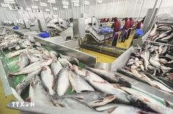 Việt Nam - Canada: Mở rộng không gian hợp tác mới