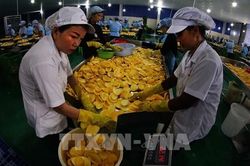 Khu vực nông, lâm nghiệp và thủy sản tiếp tục giữ vai trò trụ đỡ của nền kinh tế
