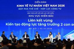 Doanh nghiệp tư nhân tìm đường vào nhịp tăng trưởng mới
