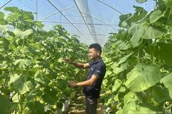 Doanh nhân trẻ với phong trào khởi nghiệp đổi mới sáng tạo
